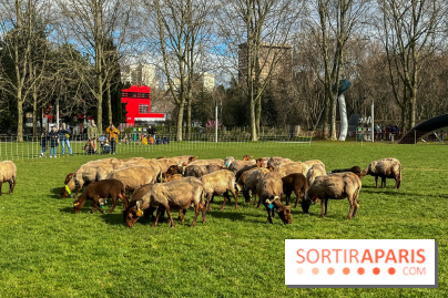 Transhumance à la Villette - E0C1AEB3 FEBD 45CF 88A2 0C8320DD6F8A