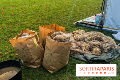 Transhumance à la Villette - A8D2E2C4 F850 4864 A12B 447F43532100