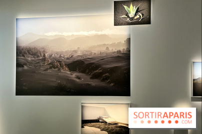 Circulation(s), le festival de la jeune photographie européenne au Centquatre - EEE2D674 7373 43B1 94CC 9B8160130950