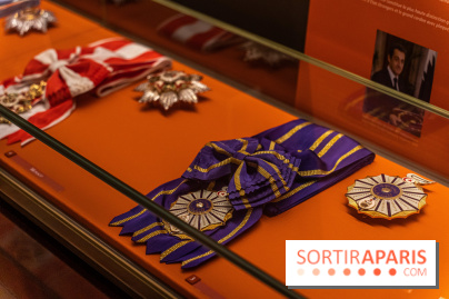 Musée de la Légion d'Honneur - photos du musée gratuit  -  A7C7187