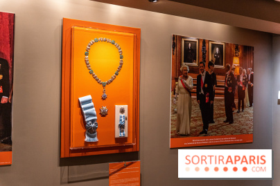 Musée de la Légion d'Honneur - photos du musée gratuit  -  A7C7188