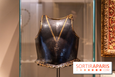 Musée de la Légion d'Honneur - photos du musée gratuit  -  A7C7216