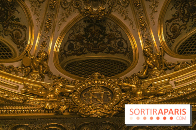 Le Théâtre Impérial du Château de Fontainebleau - Théâtre Cheikh Khalifa bin Zayed Al Nahyan -  A7C7846