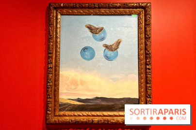 Surréalisme au féminin, l'exposition libératrice au Musée de Montmartre  - IMG 1396