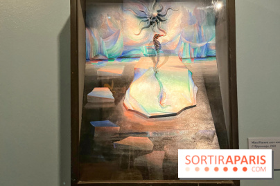 Surréalisme au féminin, l'exposition libératrice au Musée de Montmartre  - IMG 1405