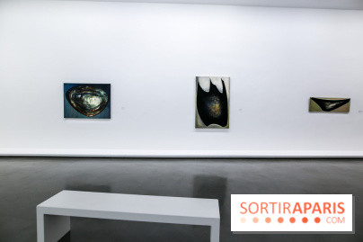 Anna-Eva Bergman, nos photos de l'expo à Paris - IMG 8979