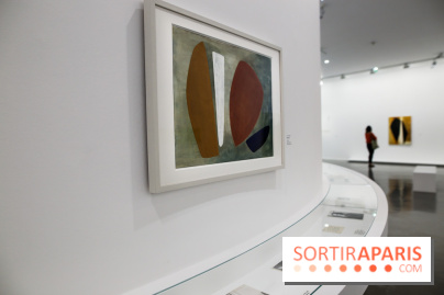 Anna-Eva Bergman, nos photos de l'expo à Paris - IMG 8983