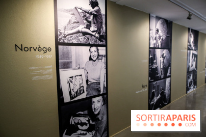 Anna-Eva Bergman, nos photos de l'expo à Paris - IMG 8999