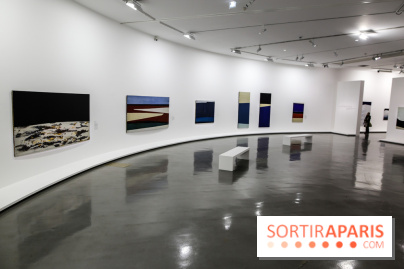 Anna-Eva Bergman, nos photos de l'expo à Paris - IMG 9003