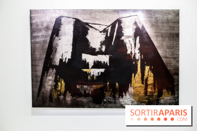 Anna-Eva Bergman, nos photos de l'expo à Paris - IMG 9009