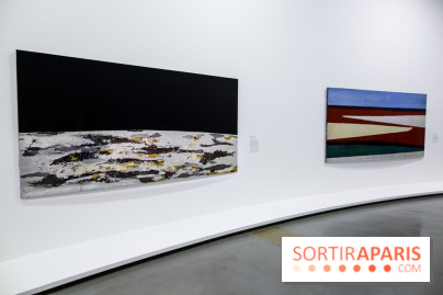 Anna-Eva Bergman, nos photos de l'expo à Paris - IMG 9012