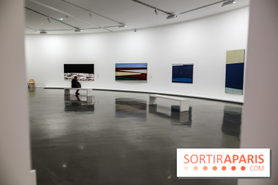 Anna-Eva Bergman, nos photos de l'expo à Paris - IMG 9021