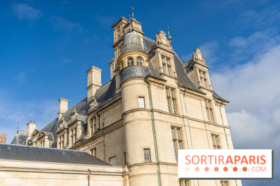 Château d'Écouen - Musée national de la Renaissance  -  A7C8376