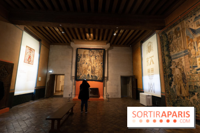 Château d'Écouen - Musée national de la Renaissance  -  A7C8387