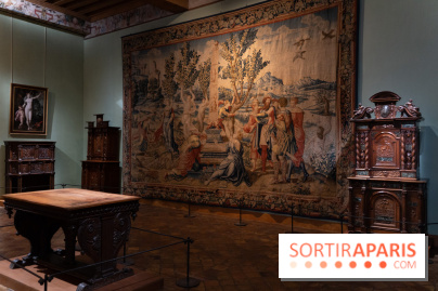 Château d'Écouen - Musée national de la Renaissance  -  A7C8589