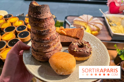 Dream Castle Hôtel, le 4**** familial à côté de Disneyland - 542AA94E DD63 4E1D 86A2 5E76BA859A39