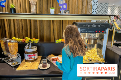 Dream Castle Hôtel, le 4**** familial à côté de Disneyland - 2C836D5B 3109 49EA 8CCA F008E8500A5B