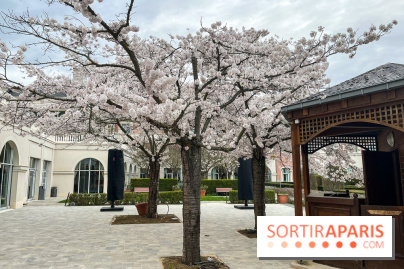 Dream Castle Hôtel, le 4**** familial à côté de Disneyland - C537F219 0AFE 440D ACF1 6CF74EC031AE