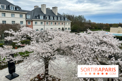 Dream Castle Hôtel, le 4**** familial à côté de Disneyland - DF1D65F8 045F 4FB6 916A B951B8CA8D26