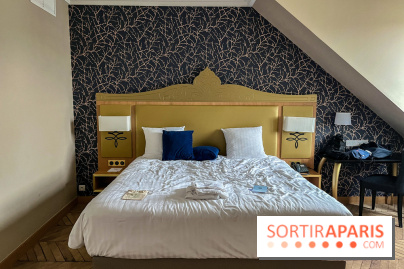 Dream Castle Hôtel, le 4**** familial à côté de Disneyland - 60F96600 4E94 4839 9837 245617D1BD32