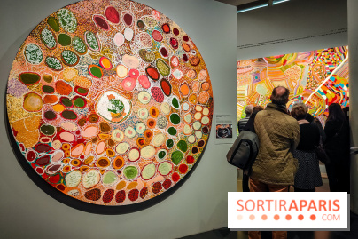 Songlines, l'exposition du musée du Quai Branly qui nous plonge dans les légendes australiennes  - IMG20230403102432