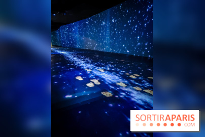 Songlines, l'exposition du musée du Quai Branly qui nous plonge dans les légendes australiennes  - IMG20230403101305