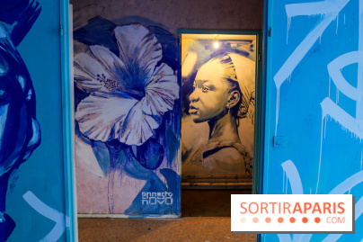 Festival Planète Périphérique à Paris, nos photos - 3 IMG 9635