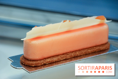 Butterfly Pâtisserie de Matthieu Carlin à l'Hôtel de Crillon - Finger Mousse de Fromage blanc et cœur de Pamplemousse rose