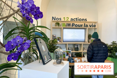 Partie de Campagne au BHV - image00001 (38)