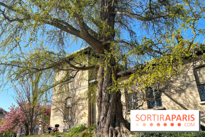 Le Jardin des Serres d'Auteuil - IMG 1492