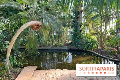 Le Jardin des Serres d'Auteuil - IMG 1525