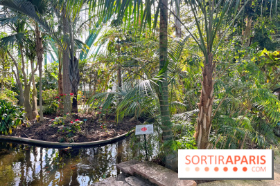 Le Jardin des Serres d'Auteuil - IMG 1527