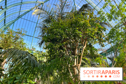 Le Jardin des Serres d'Auteuil - IMG 1550