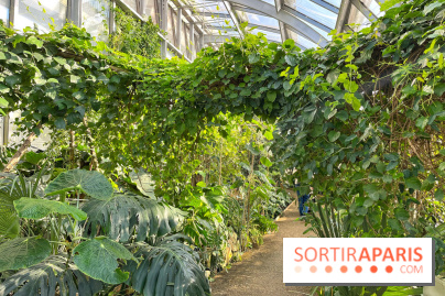 Le Jardin des Serres d'Auteuil