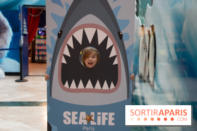 Aquarium Sea Life - IMG 8409