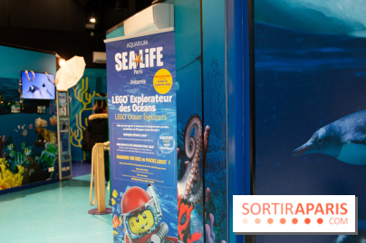 Aquarium Sea Life - IMG 8400