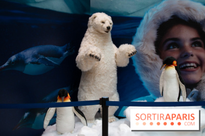 Aquarium Sea Life - IMG 8401