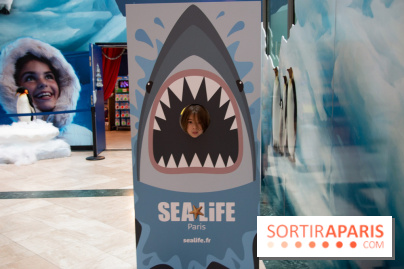 Aquarium Sea Life - IMG 8403