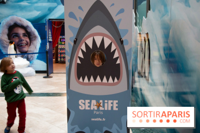 Aquarium Sea Life - IMG 8404