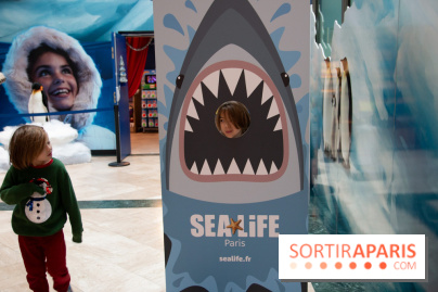 Aquarium Sea Life - IMG 8405