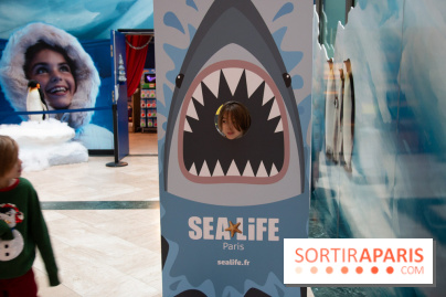 Aquarium Sea Life - IMG 8406