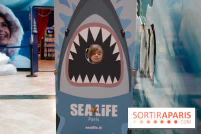 Aquarium Sea Life - IMG 8407