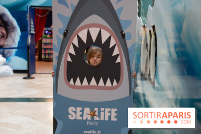 Aquarium Sea Life - IMG 8408