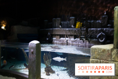 Aquarium Sea Life - IMG 8389