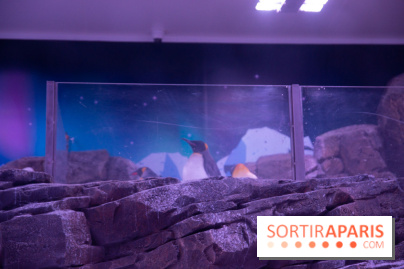 Aquarium Sea Life - IMG 8391