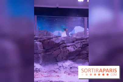 Aquarium Sea Life - IMG 8393