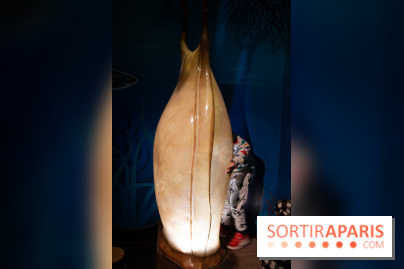 Aquarium Sea Life - IMG 8380