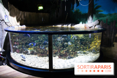 Aquarium Sea Life - IMG 8374