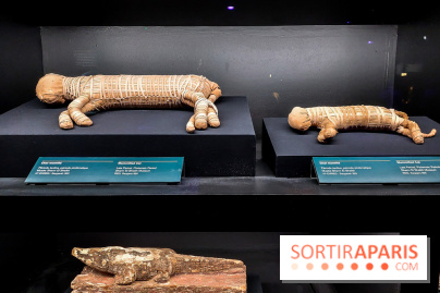 Ramsès et l’or des pharaons, nos photos de l'expo - 20230406 093858