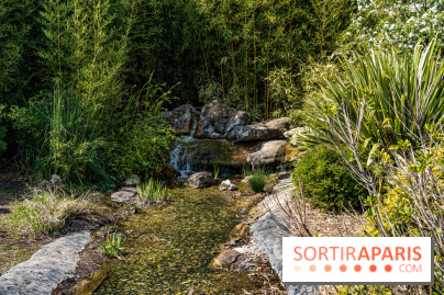 Square Médéric Colombes - jardin japonais 92 -  A7C9951